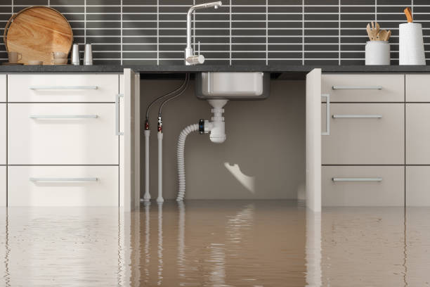 Best Residential water damage restoration  in USA